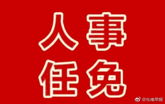 泉州人事任免动态概览，最新任免情况解读（2017年）