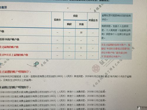 钱站征信最新动态解析，不上征信原因探究与未来展望