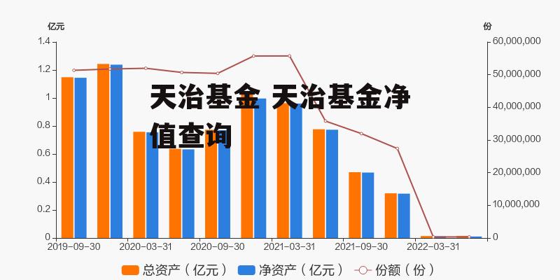 天治核成长净值最新动态，洞悉影响与趋势