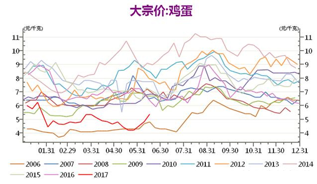 济南鸡蛋价格行情最新解析