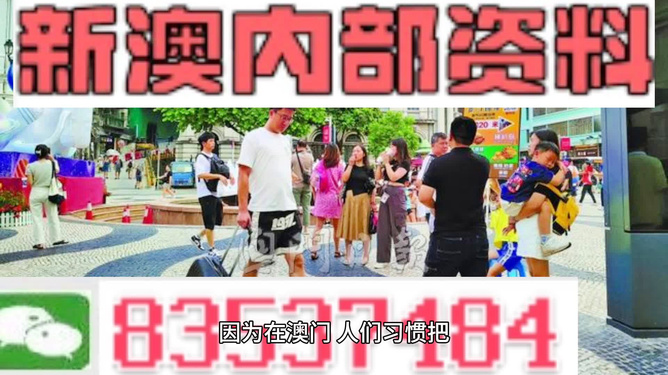 2024年新澳门全年免费资料大全,实地考察数据分析_Premium29.138