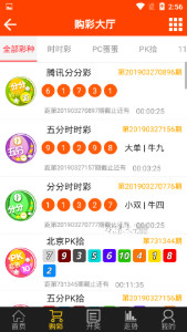 王中王最准一肖100免费公开,实地执行考察设计_Holo78.611