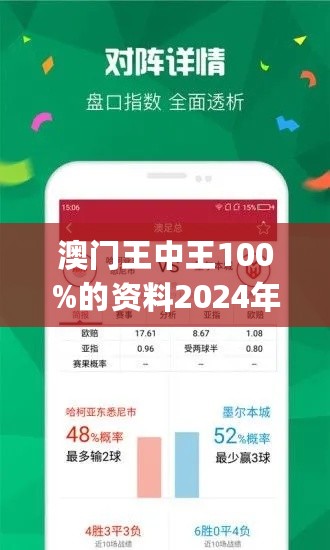 澳门王中王100%期期中,实践策略实施解析_限量款65.600