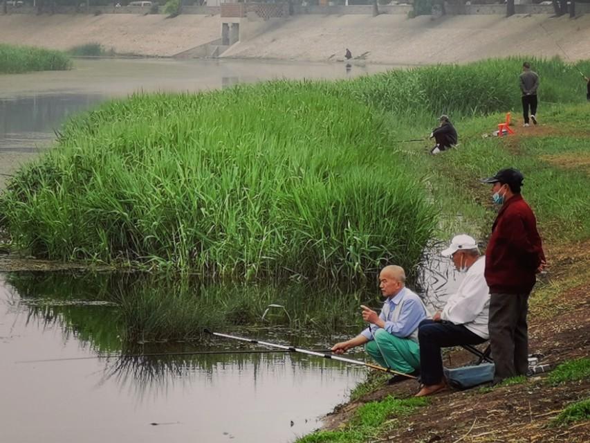 天津垂钓新发现，探索最佳垂钓胜地指南 2016版