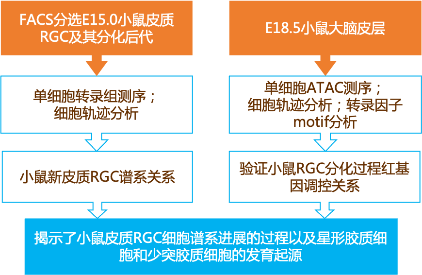 正版资料综合资料,实效性解析解读策略_Hybrid13.482