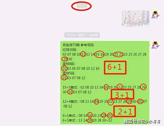 白小姐今晚特马期期准六,实际应用解析说明_Console66.760