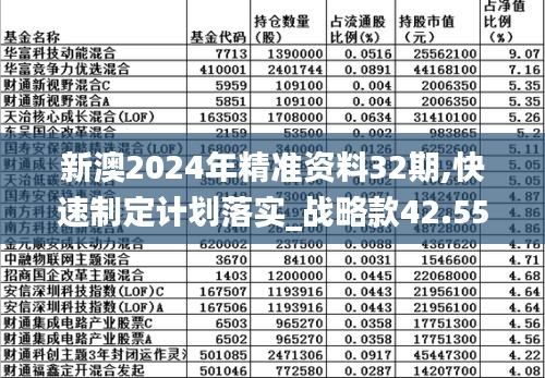 新澳2024年最新版资料,实地计划验证策略_Tizen31.647