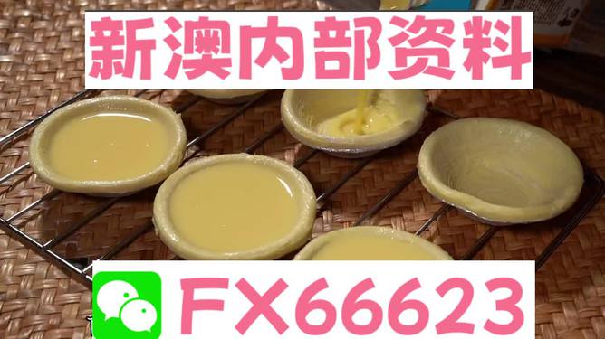 新澳精准资料免费提供最新版,动态调整策略执行_视频版19.573