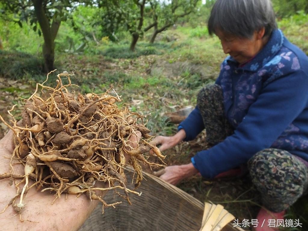 久草地址最新获取讨论涉黄问题的警示提醒。