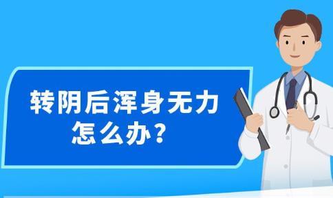 新澳精准资料免费提供网站,数据资料解释落实_R版84.168