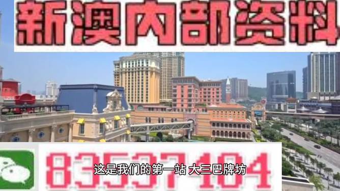 2024澳门精准正版资料,决策资料解释落实_轻量版69.98