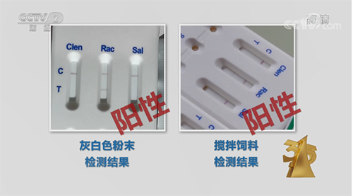 绵阳海能海洋最新动态，引领海洋产业开启新篇章