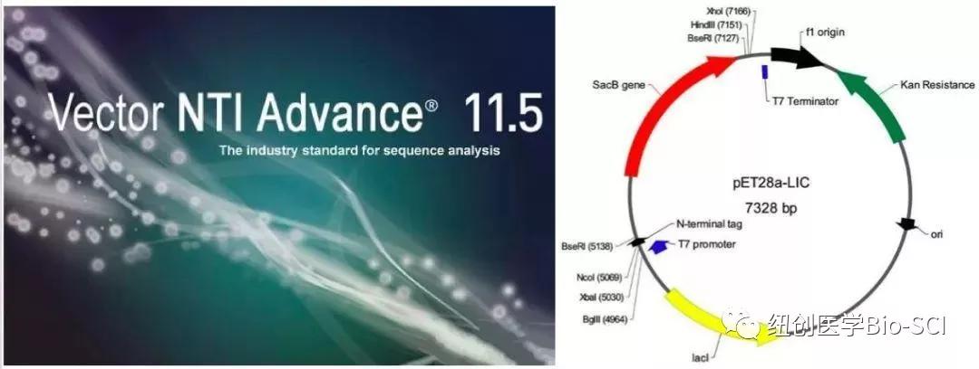 免费高清网站在线播放的注意事项,数据整合执行设计_Advance60.129