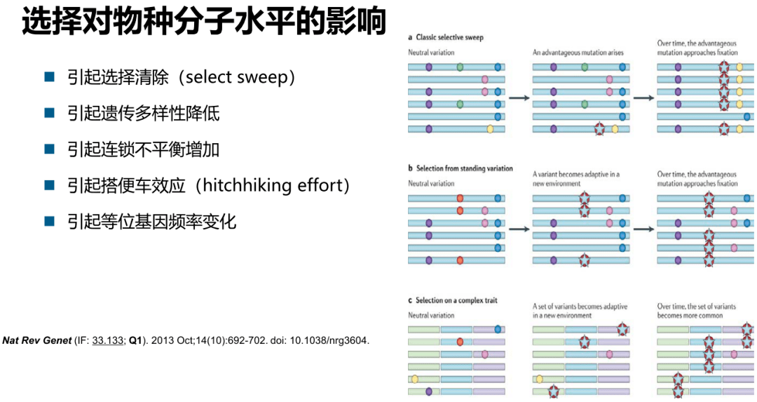 494949开奖历史记录最新开奖记录,安全性方案设计_soft57.124