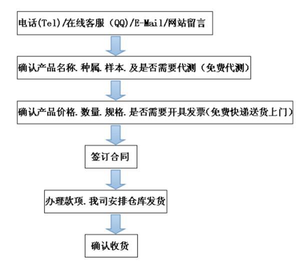 2024新奥马新免费资料,战略性实施方案优化_旗舰版61.953