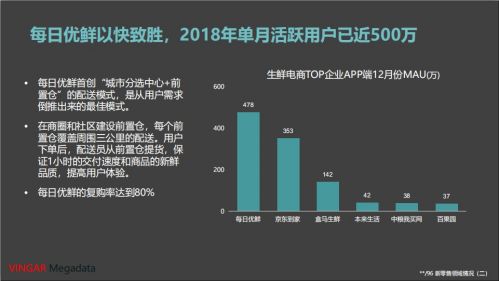 新奥天天免费资料大全正版优势,快速响应方案落实_BT89.241