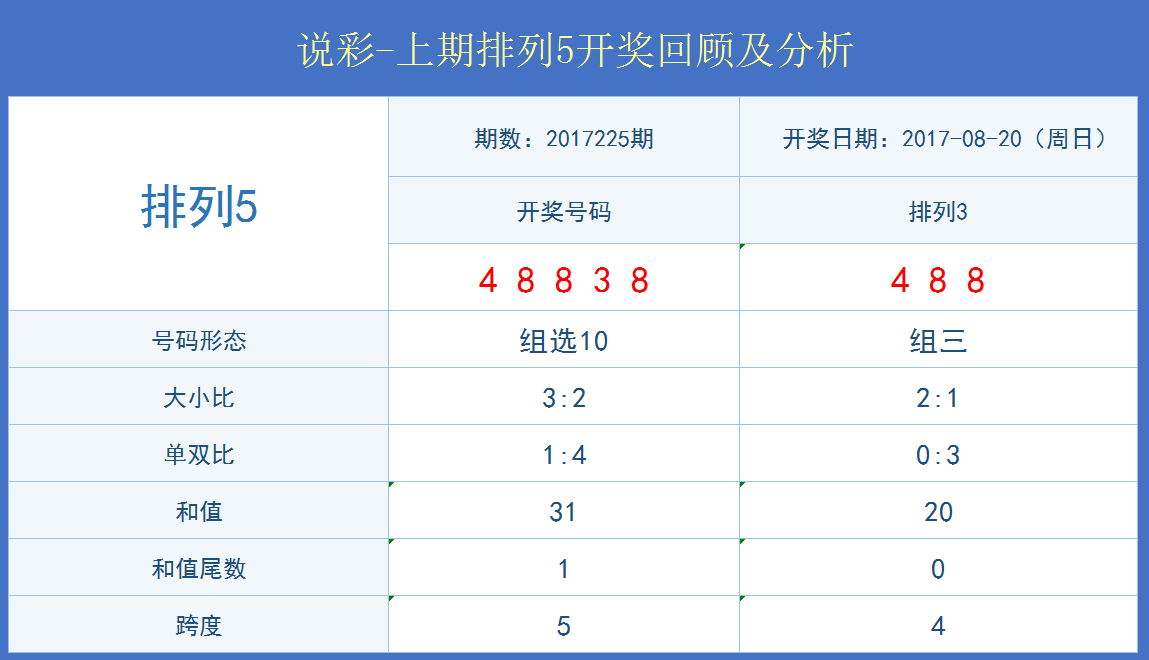 2024年11月28日 第31页