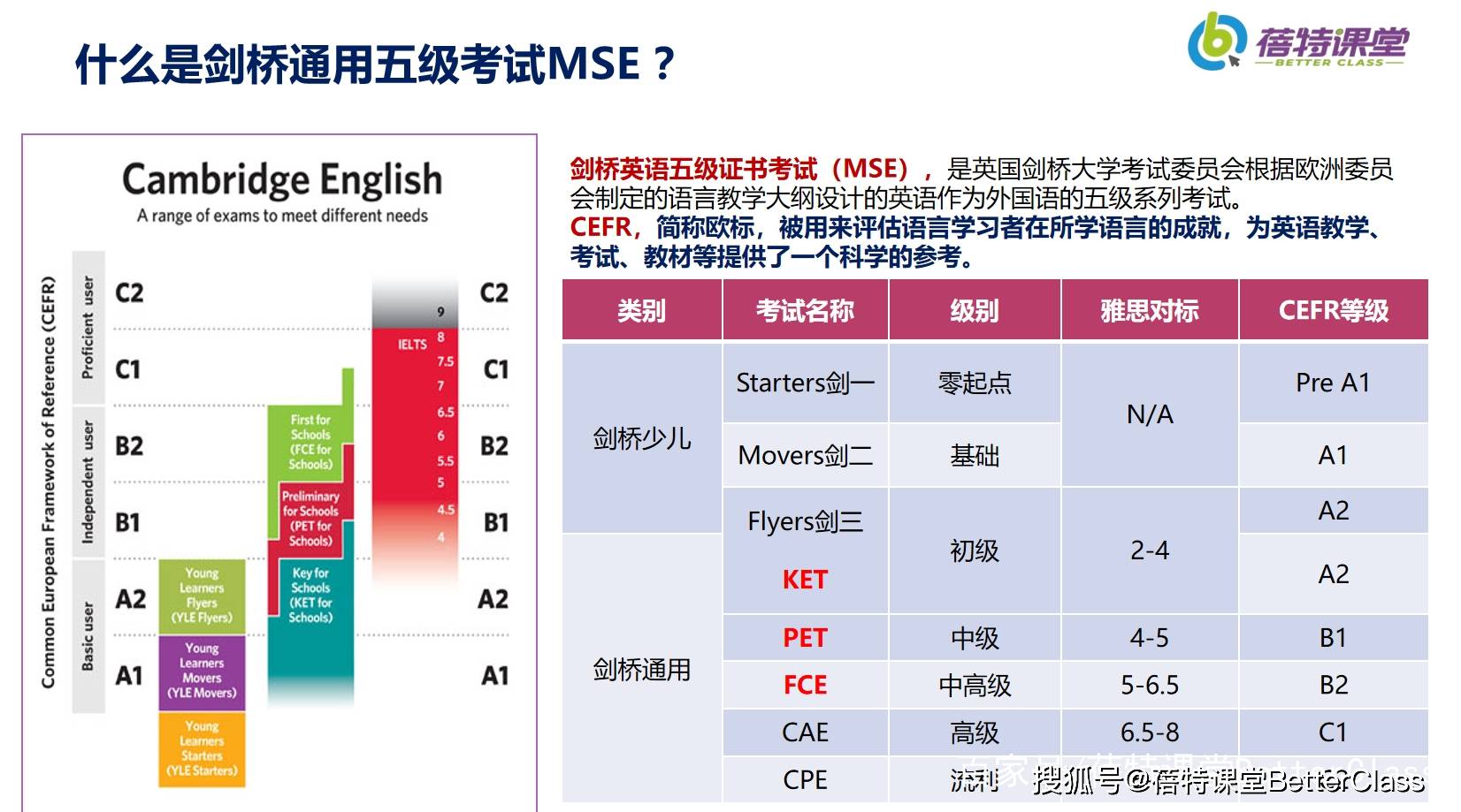 今晚澳门特马开什么,快速响应策略解析_界面版60.91